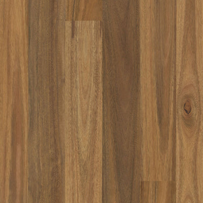 Spotted Gum