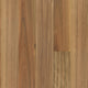 Blackbutt