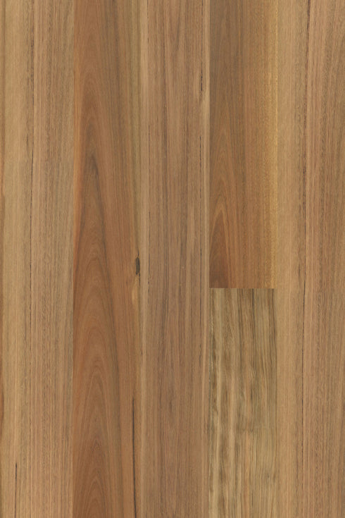 Blackbutt 14/3mm Pioneer Brushed Engineered Timber Flooring - Adore Rugs & Flooring