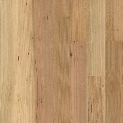 Tassie Oak