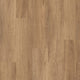 QLD Spotted Gum
