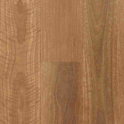 QLD Spotted Gum