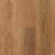 QLD Spotted Gum