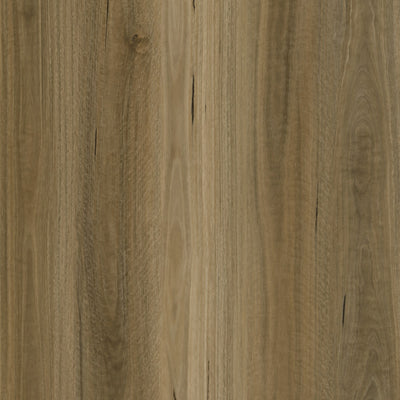 Raw Spotted Gum