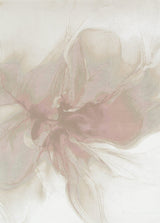 Pink colour