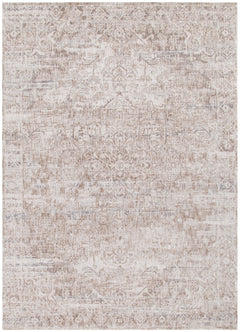 Solenne Beige & Blue Distressed Vintage Rug - S100