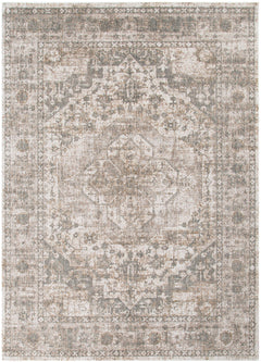 Solenne Cream & Olive Distressed Medallion Vintage Rug - S600