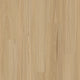 New England Blackbutt