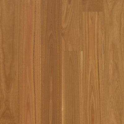 Spotted Gum Natural