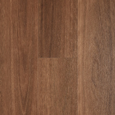 Smoked Spotted Gum
