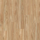 Smooth Blackbutt