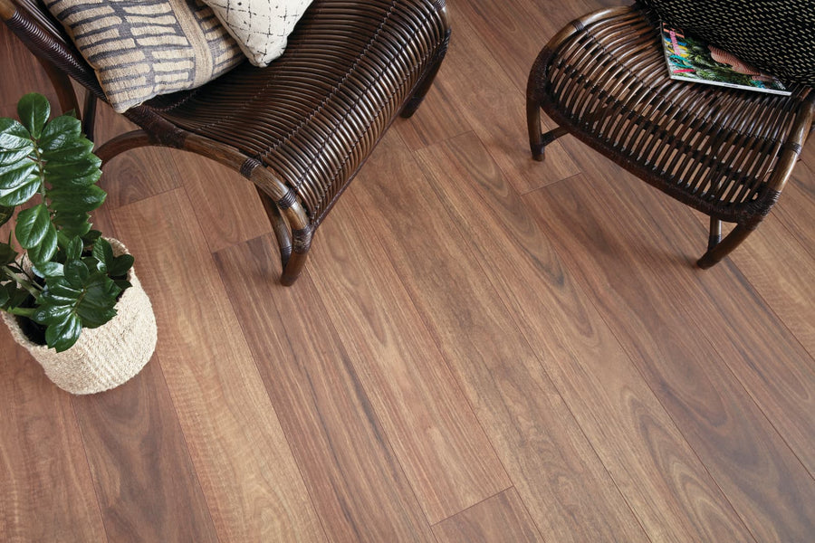 Spotted Gum, 8mm