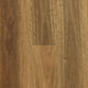 Spotted Gum