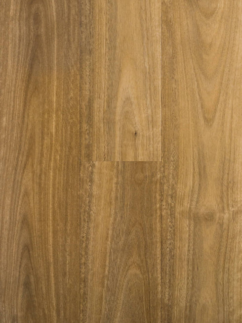Spotted Gum 8mm Stonefloor Hybrid Flooring - Adore Rugs & Flooring