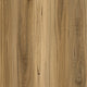 Spotted Gum