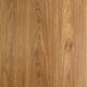 Spotted Gum