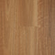 Spotted Gum