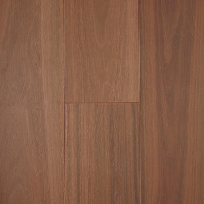 Spotted Gum