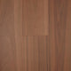 Spotted Gum