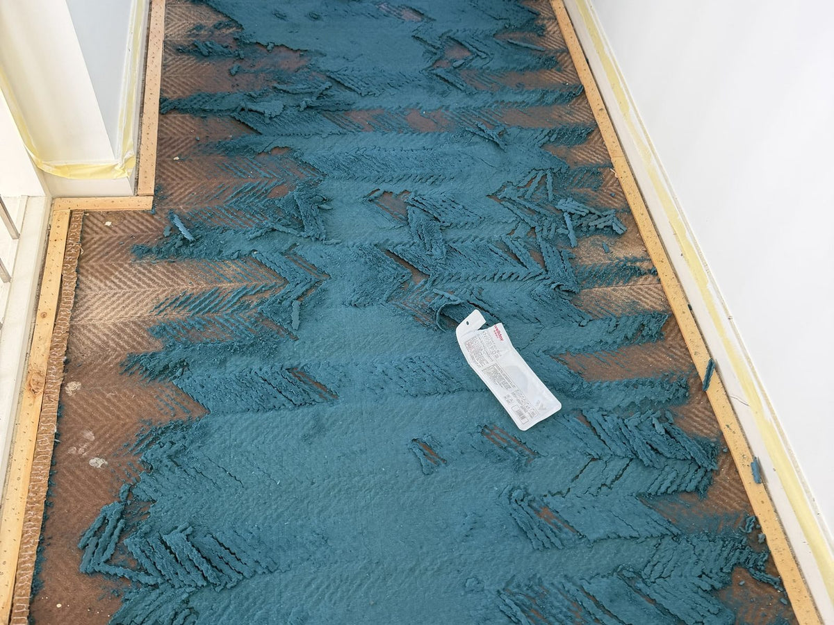 Before: hallway in The Ponds